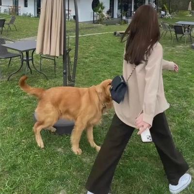 紧急盯梢令